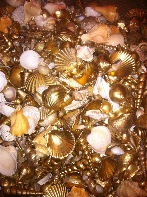 paint shells 2