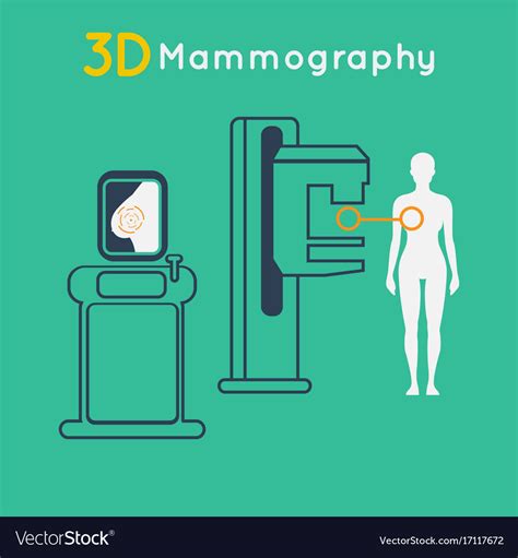 Breast cancer 3d mammography Royalty Free Vector Image