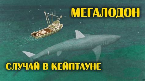 Мегалодон Жив (2 серия) - Случай в Кейптауне - YouTube