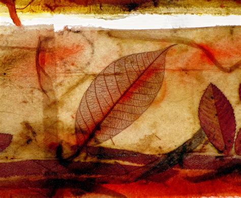 letting   light   making