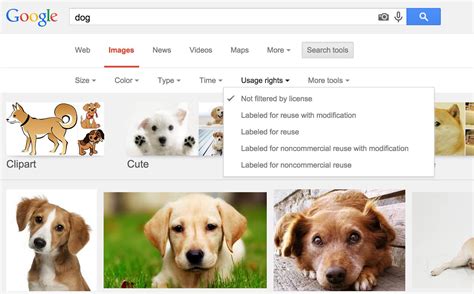 How can you use google images? : r/NoStupidQuestions