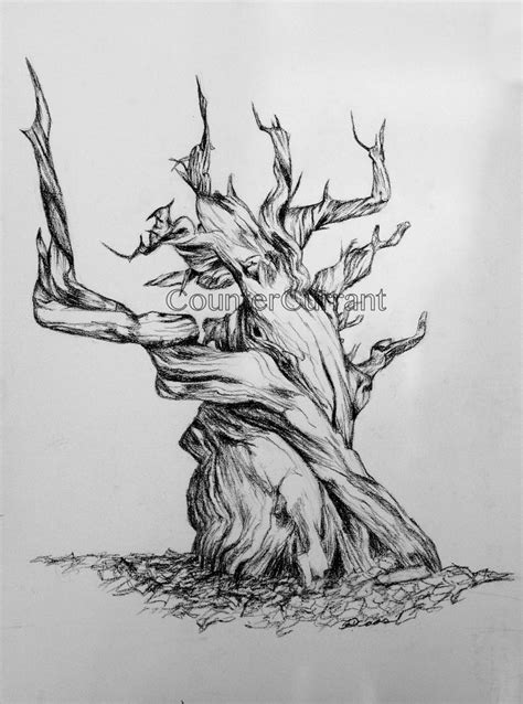 Bristlecone Pine by CounterCurrant on DeviantArt