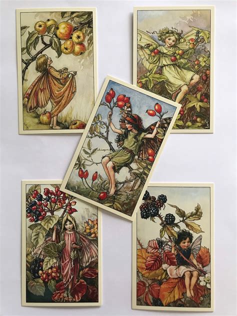 Set of 5 Flower Fairies Vintage Style Postcards: Flower Fairies of the ...