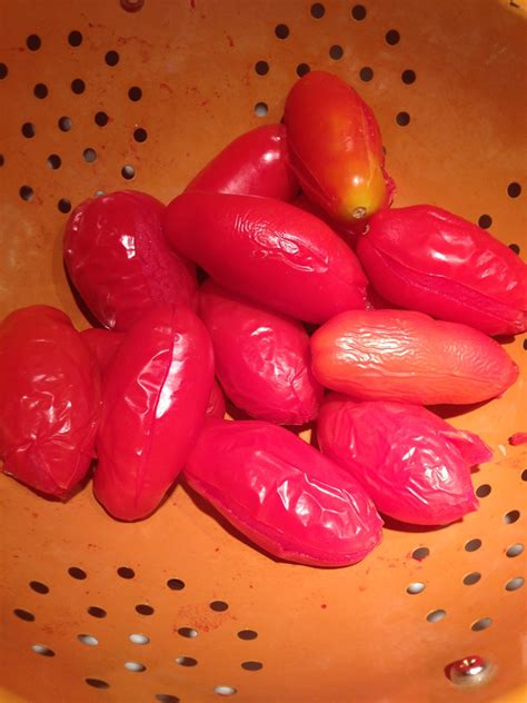 are roma and plum tomatoes the same 6
