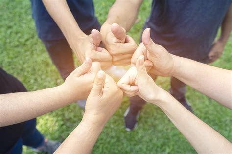 teamwork | Heavenlyz Animal & Dog Grooming Training Courses