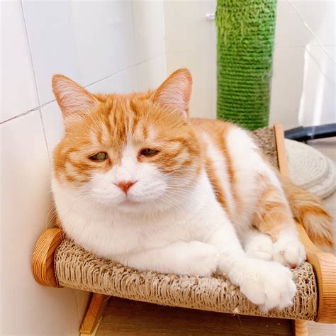 Why am I so tired after work? : r/aww