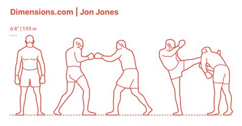 UFC Octagon Dimensions & Drawings | Dimensions.com