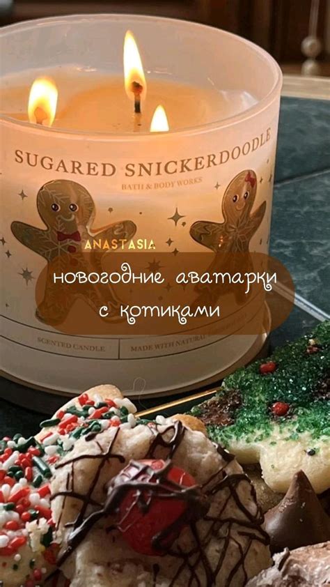 новогодние аватарки с котиками 🤍
