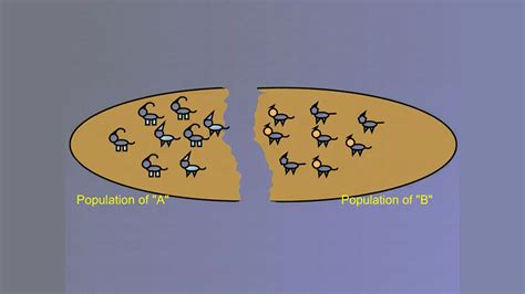 Evolution and Speciation | Curious.com