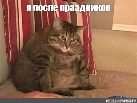 Meme: "я после праздников" - All Templates - Meme-arsenal.com