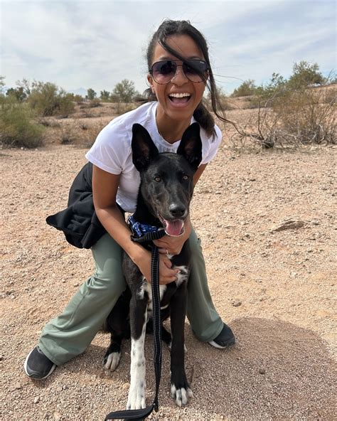 halo animal rescue 8