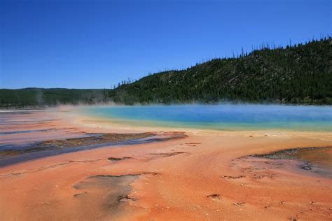 east entrance road-yellowstone | Country roads, Road, Yellowstone