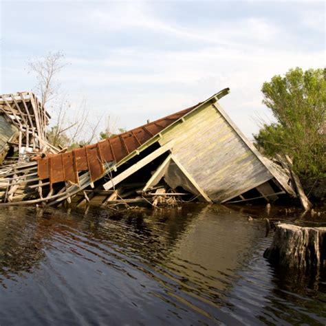 facts  hurricane katrina dosomethingorg