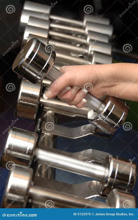 Free Weights stock image. Image of barbells, building - 5122975