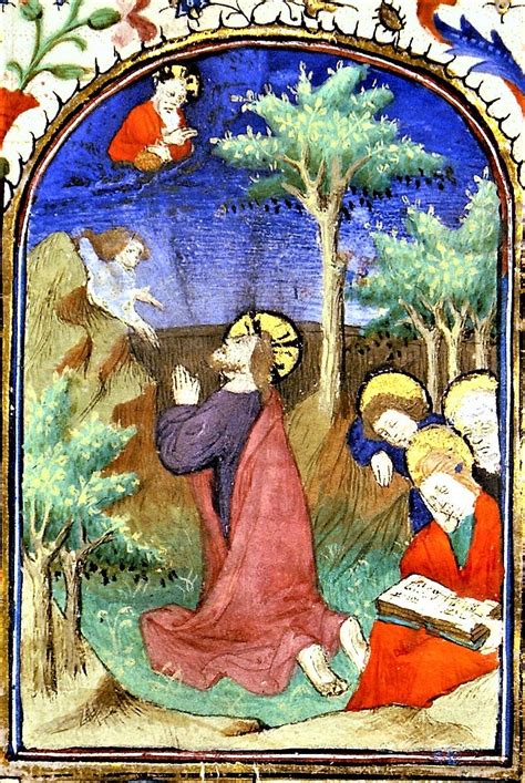 The Garden Of Gethsemane Bible Verse - gardenbz