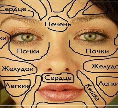 Эта китайская карта лица расскажет, что беспокоит ваш организм! | Лицо ...