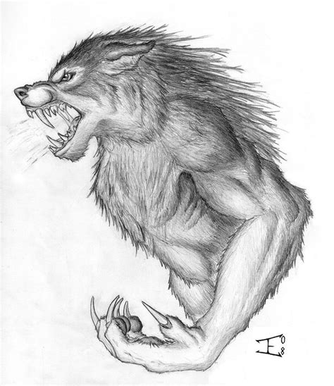 Werewolf Drawing, Pencil, Sketch, Colorful, Realistic Art Images ...