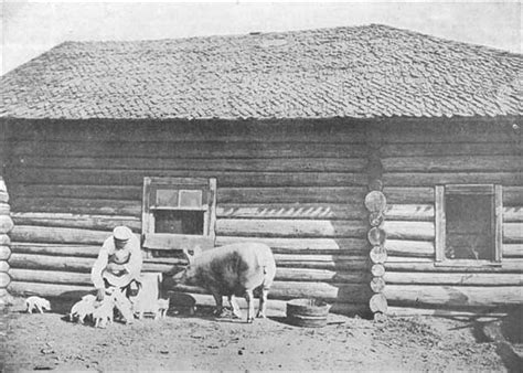Артельная свинарня