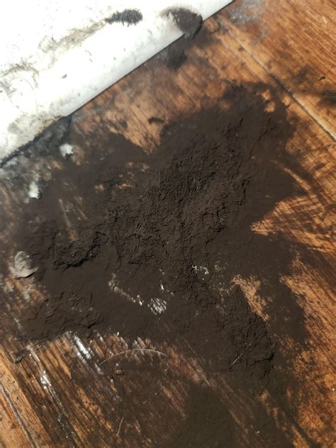 Is this mold? Found behind my kids dresser : r/Mold