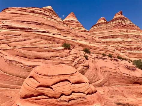 Vermilion Cliffs National Monument | Tours