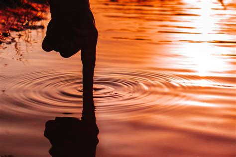 The Role of a CDP in Multi-Touch Attribution