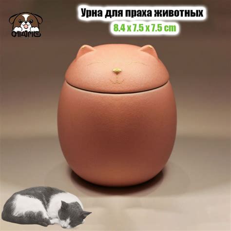 Урна для праха животных кошек и собак, небольшой резервуар хранения ...