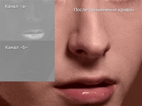 Эффективный способ выравнивания тона и цвета кожи - Фотожурнал ...