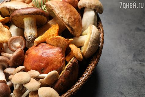 Как чистить грибы | 7Дней.ru