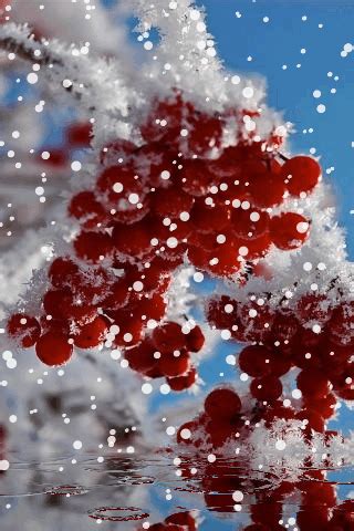 ЖИВЫЕ ОТКРЫТКИ GIF ГИФ ПОЗДРАВЛЕНИЯ КАРТИНКИ | ВКонтакте