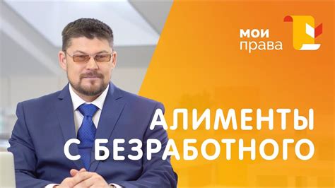 Алименты с безработного. Сколько он должен платить? / МОИ ПРАВА - YouTube