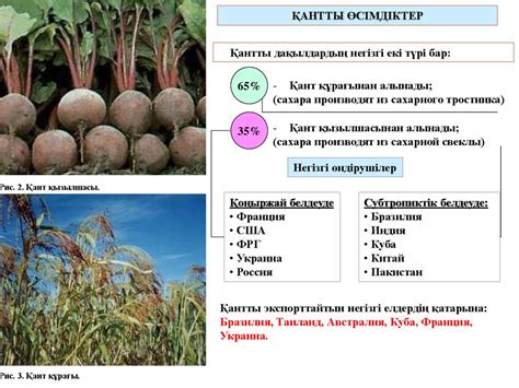 Ауыл шаруашылығы - презентация онлайн