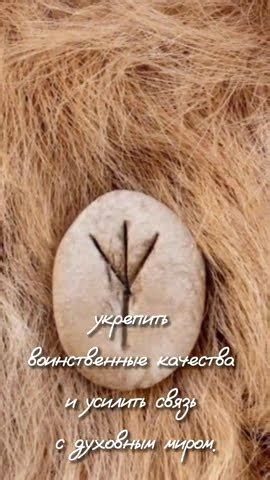 Альгис | Древняя руна викингов #рунныйлес #shorts - YouTube