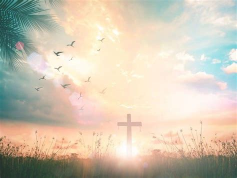 What is Salvation? – Hebrews 12 Endurance