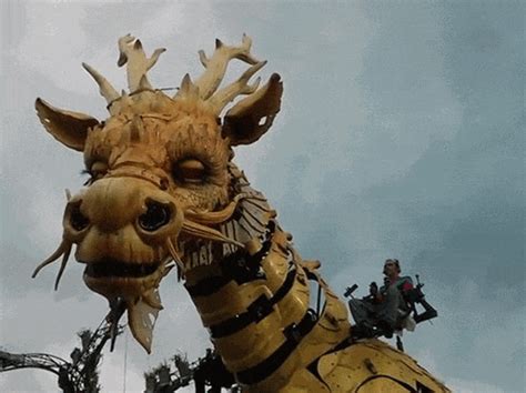 Как скачать гифку с ВК (инструкция + 30 gif картинок)