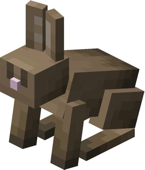 Rabbit – Minecraft Wiki