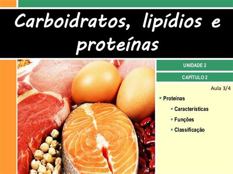 Lipidios Carboidratos E Proteinas - II. 2 Carboidratos, lipídios e proteínas