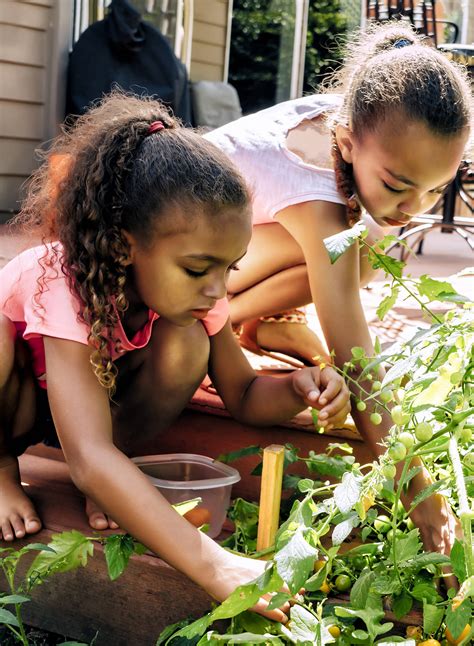 How To Start Your Own Garden