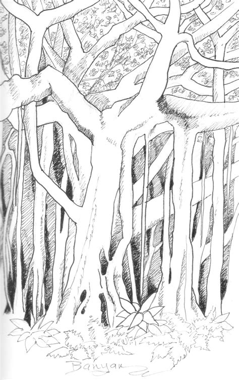 Banyan Tree Sketch at PaintingValley.com | Explore collection of Banyan ...