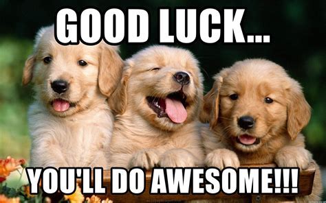 Good Luck Test Meme