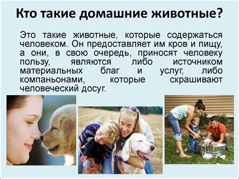 Домашние животные - презентация онлайн