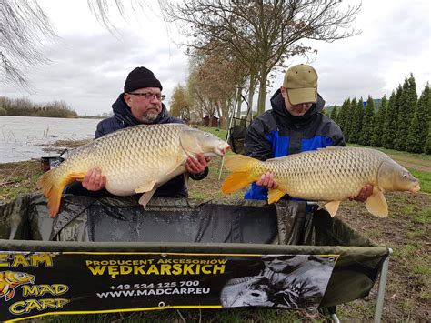 Sklep Mad Carp – Mad Carp
