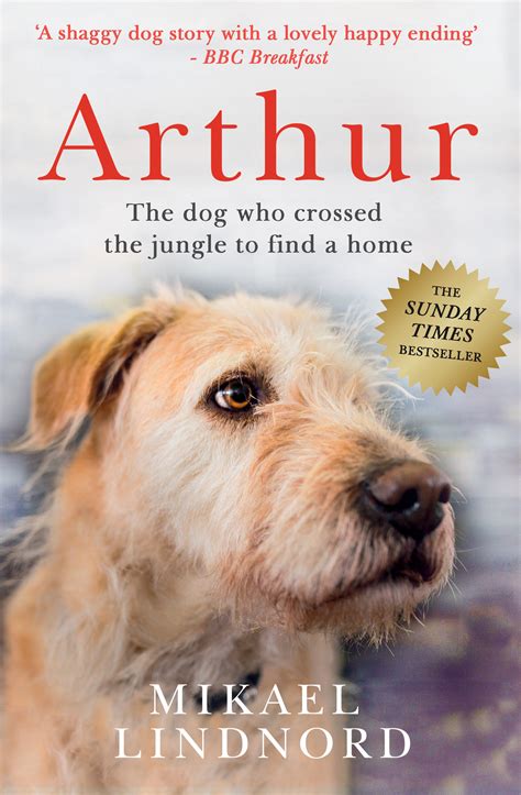 Arthur the King: The dog who crossed the jungle to find a home *WATCH ...