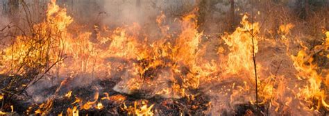 tidak  kebakaran  sama ketahui klasifikasi kebakaran