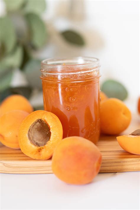 Apricot Jam: Ditch the Store Bought and Experience Reality – thatchbatches