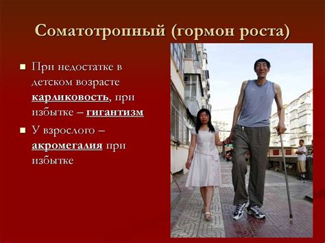Гормоны - презентация онлайн