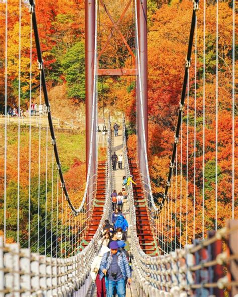 日本紅葉預測2022｜北海道、東北、東京、大阪、京都、九州紅葉最佳觀賞日期＋私心景點推介（附紅葉地圖） | 主場·日本 - 玩樂旅遊 - 生活 ...