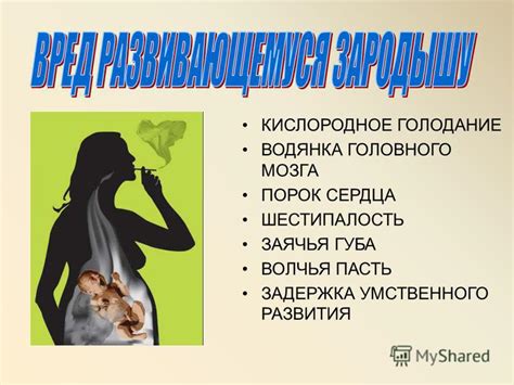 Презентация на тему: "Влияние курения на организм человека". Скачать ...