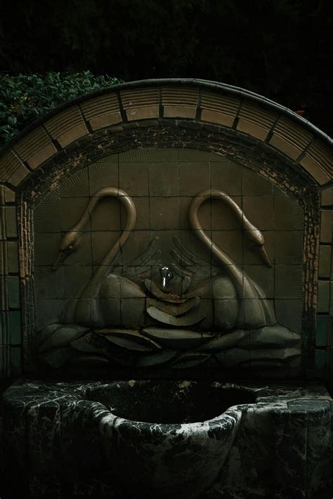 Girls+Flashing+In+Public+Gifs Photos, Download The BEST Free Girls