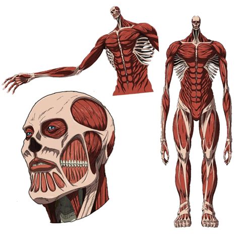 attack  titan  final season armins colossal titan  design