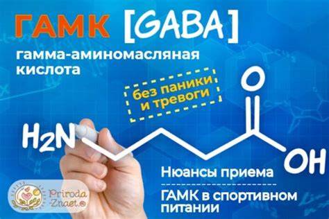ГАМК: что это такое и как принимать добавку